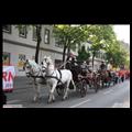 simmering-und-rathausplatz-1.-mai-019