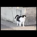 naturlehrpfad-2014-01-12-011