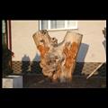 naturlehrpfad-2014-01-12-013