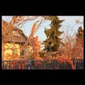 naturlehrpfad-2014-01-12-022