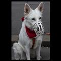 img_3486.v1