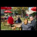 gf2272img_9576-3